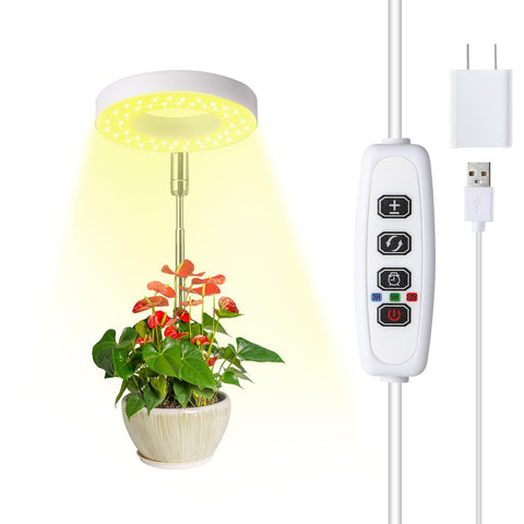 Hywyimlait Halo Ring Grow Light setup for compact shelves promotes efficient plant growth.