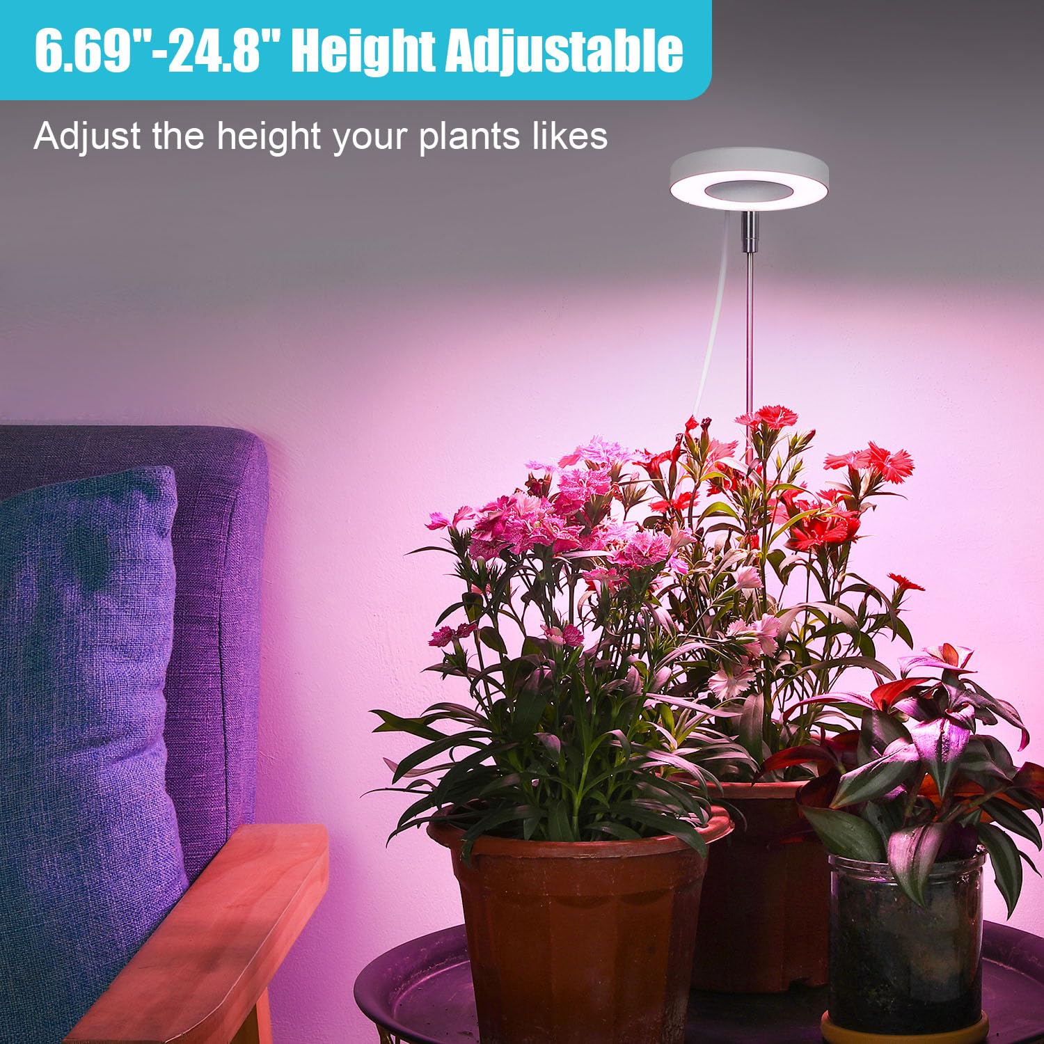 Hywyimlait Halo Ring Grow Light two-pack lighting a desk plant setup.