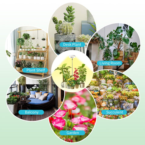 Hywyimlait Halo Ring Grow Light USB power keeps setup portable.