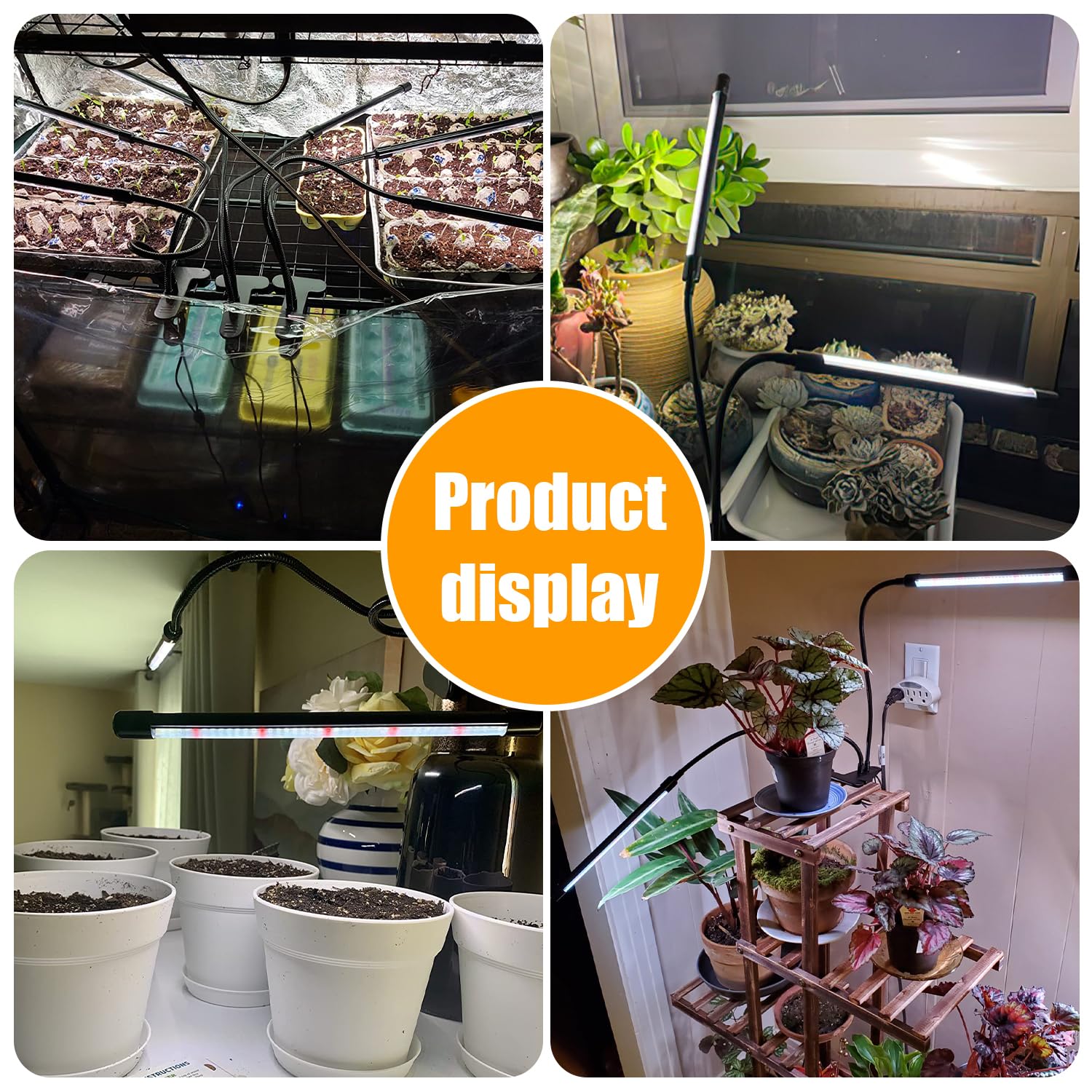 Hywyimlait indoor-ready grow light setup for various plants