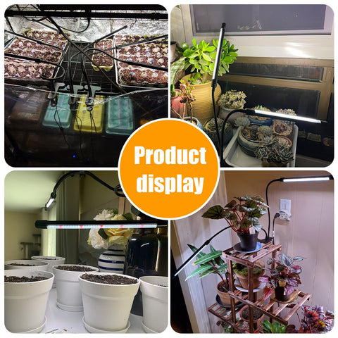 Hywyimlait indoor-ready grow light setup for various plants