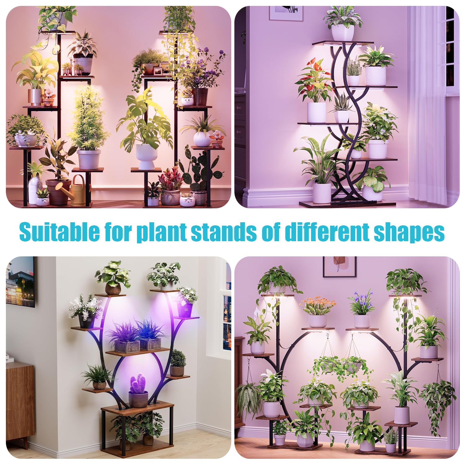 Hywyimlait suits flowers, vegetables, and succulents with balanced spectrum.