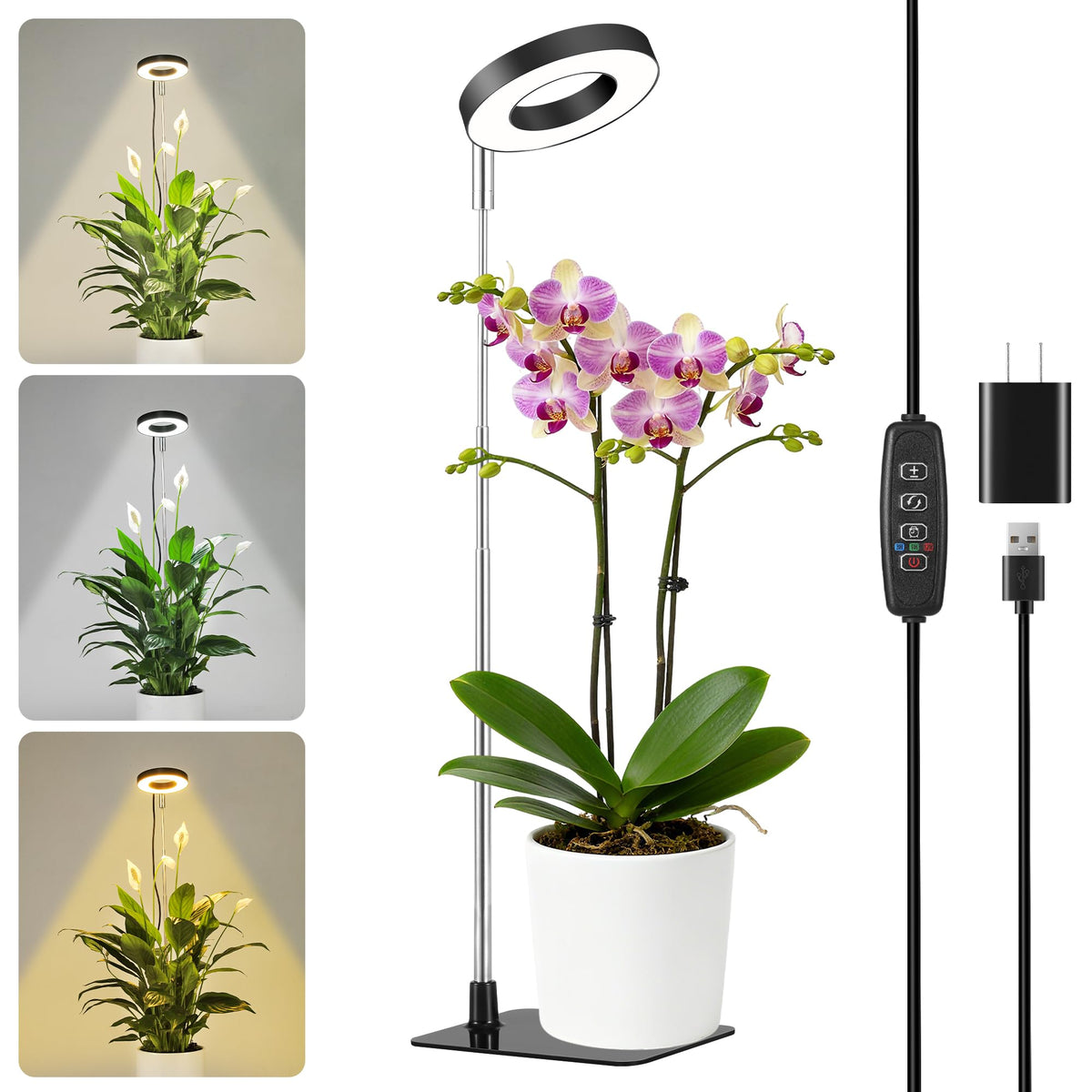 Hywyimlait Small Halo Grow Light with base for stable indoor plant lighting.