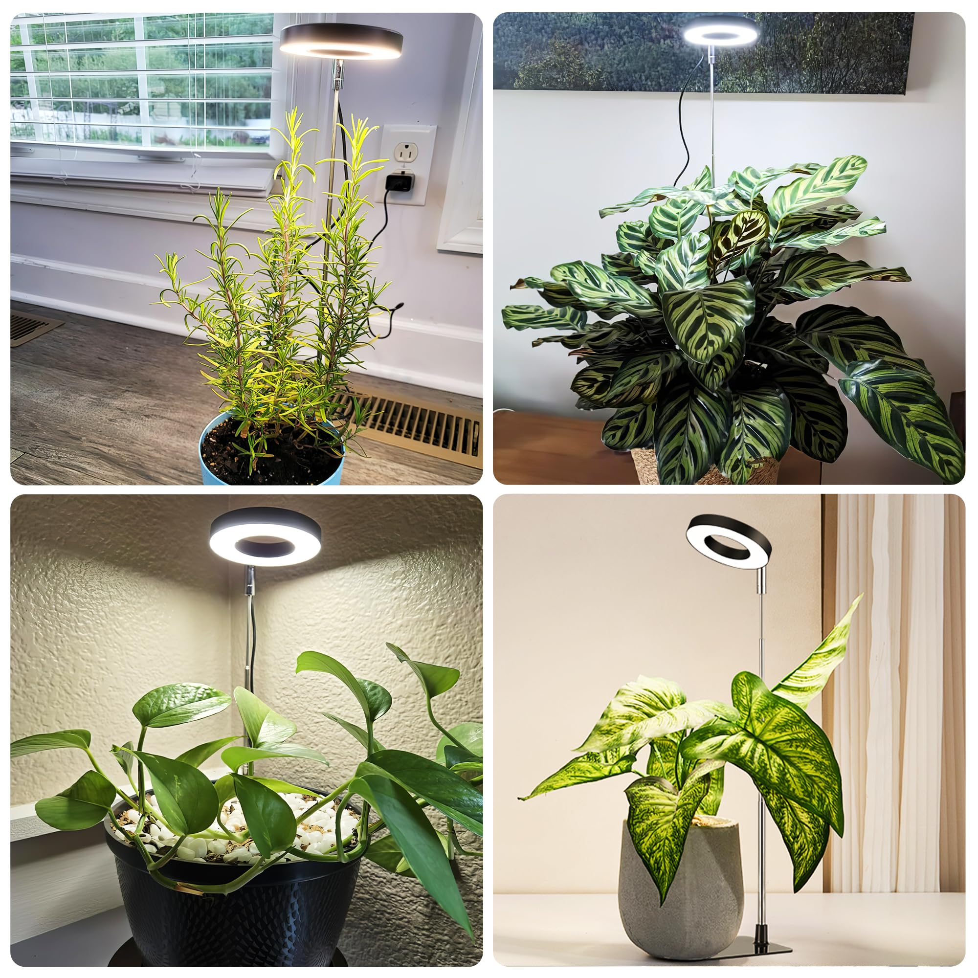 Hywyimlait compact design fits desks, shelves, and plant corners.