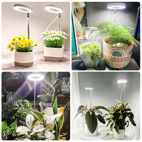 Hywyimlait White Grow Light 10 brightness levels for precise lighting.