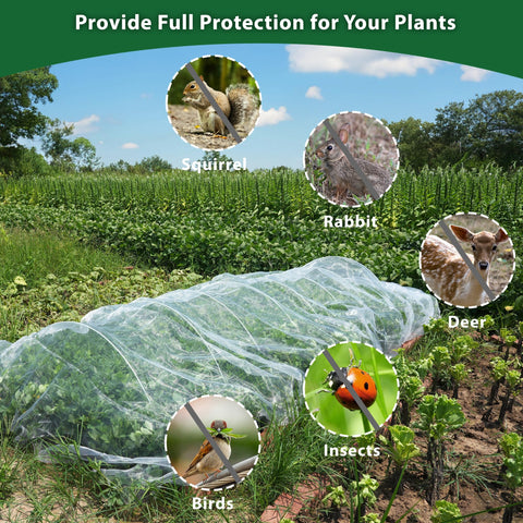 Hyxanons netting in greenhouse setting demonstrating versatile nursery protection.
