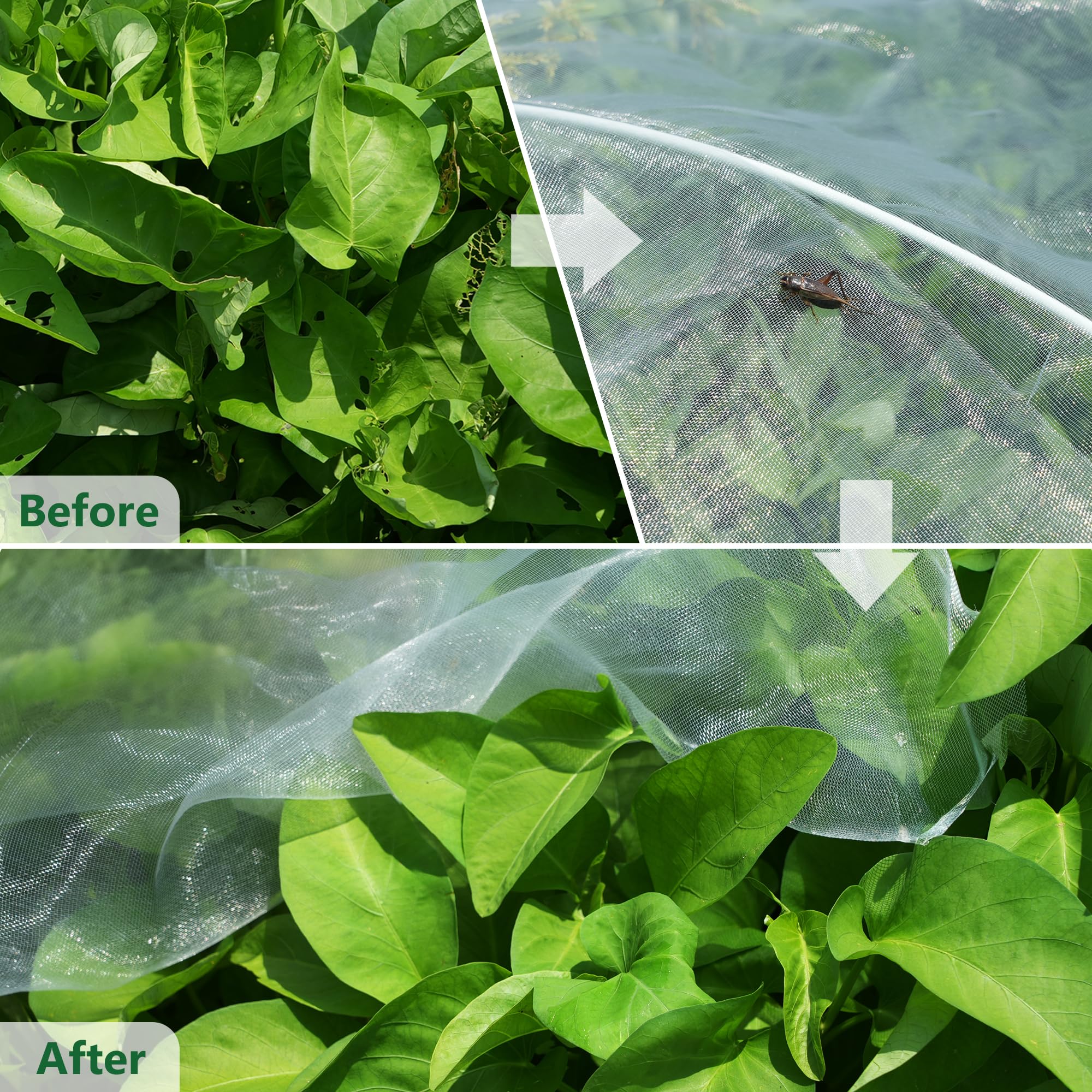 Hyxanons pest barrier over fruit trees deters birds and pests during growth.