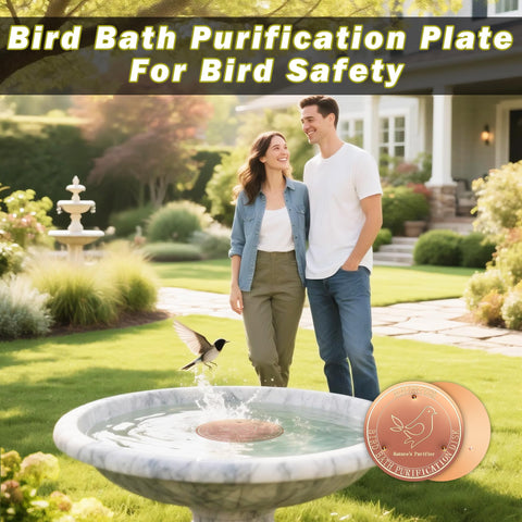 HYXBXSS copper bird bath disk 3.9-inch diameter for durable use