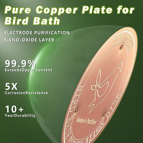 HYXBXSS easy maintenance surface simplifies debris removal and refilling