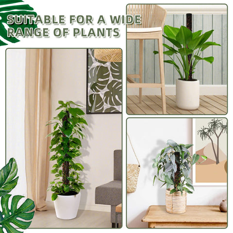 HYYZ 4-pack black moss pole fits compact spaces and multiple plants.