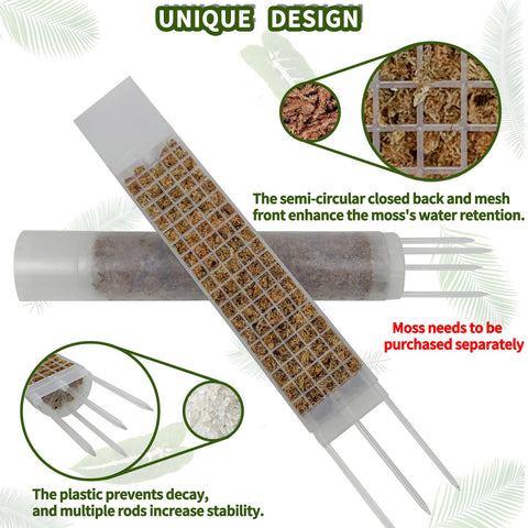 HYYZ D-shaped moss pole profile offers sturdy support for Monstera climbing.