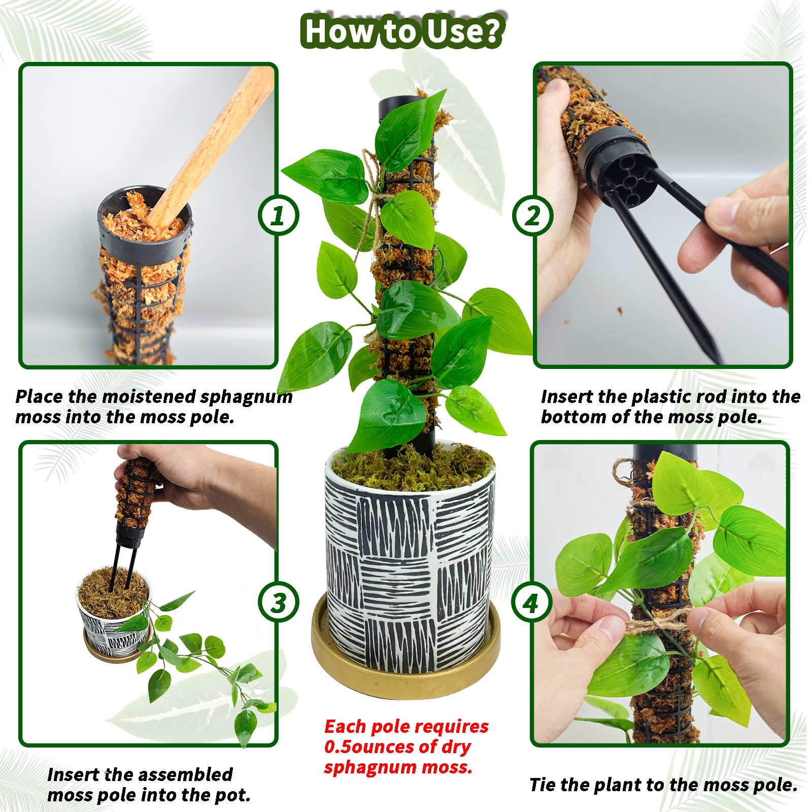 HYYZ easy-setup moss pole simplifies staking for Monstera plants.