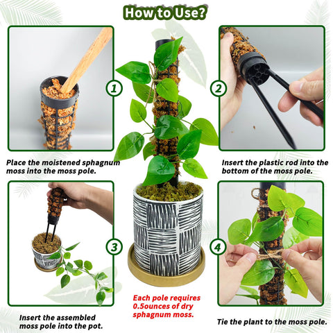 HYYZ easy-setup moss pole simplifies staking for Monstera plants.
