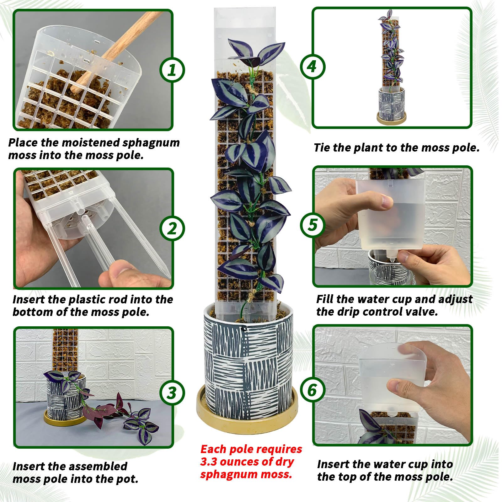 HYYZ mesh design provides broad contact for aerial roots promoting stable growth.