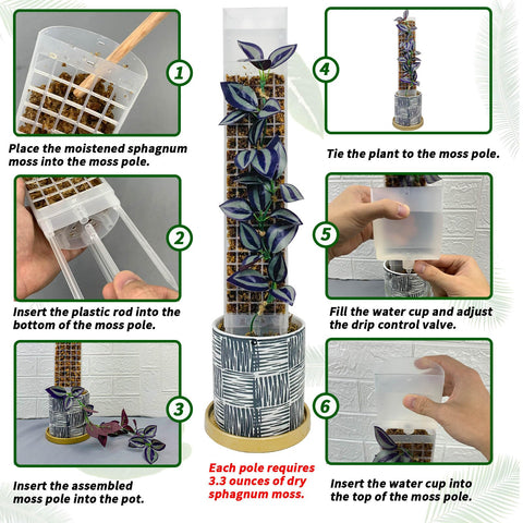 HYYZ mesh design provides broad contact for aerial roots promoting stable growth.