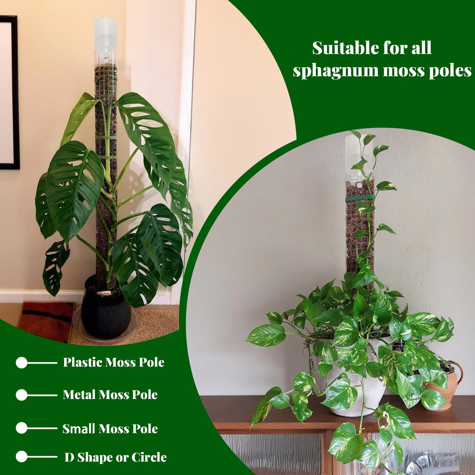 HYYZ Dripper Pro moss pole setup supports travel and busy schedules.