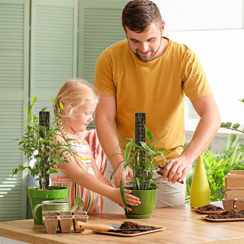 HYYZ stackable moss pole extensions support scalable growth.