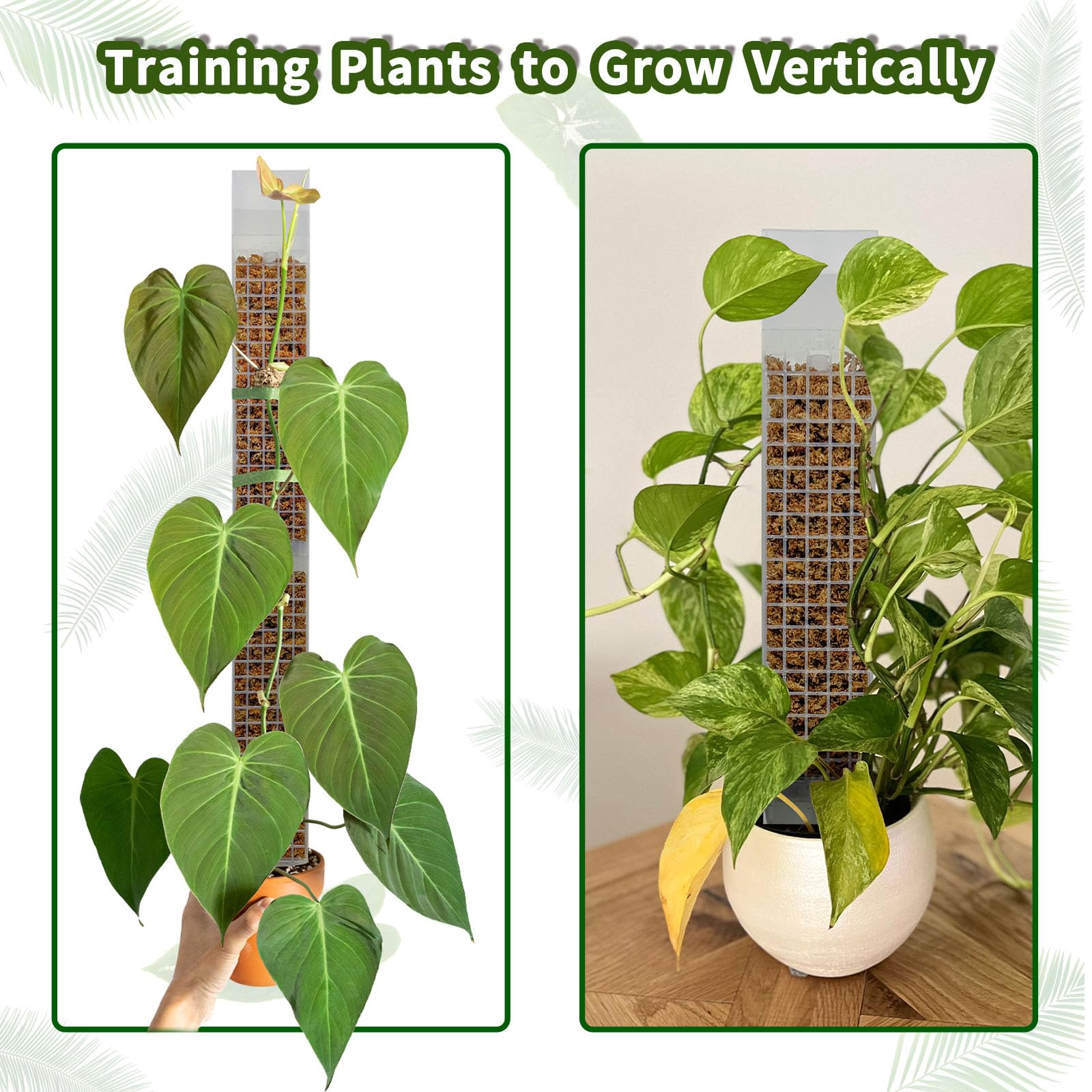 HYYZ vertical-growth support helps plants reach light and grow greener leaves.