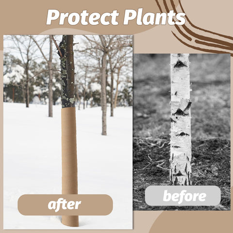 HZCGJMY biodegradable wrap is eco friendly and ready for compost after use.