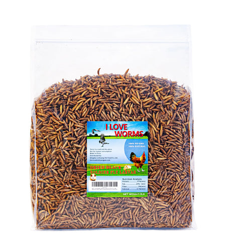 I LOVE WORMS BSF larvae bulk bag highlighting calcium-rich poultry treat