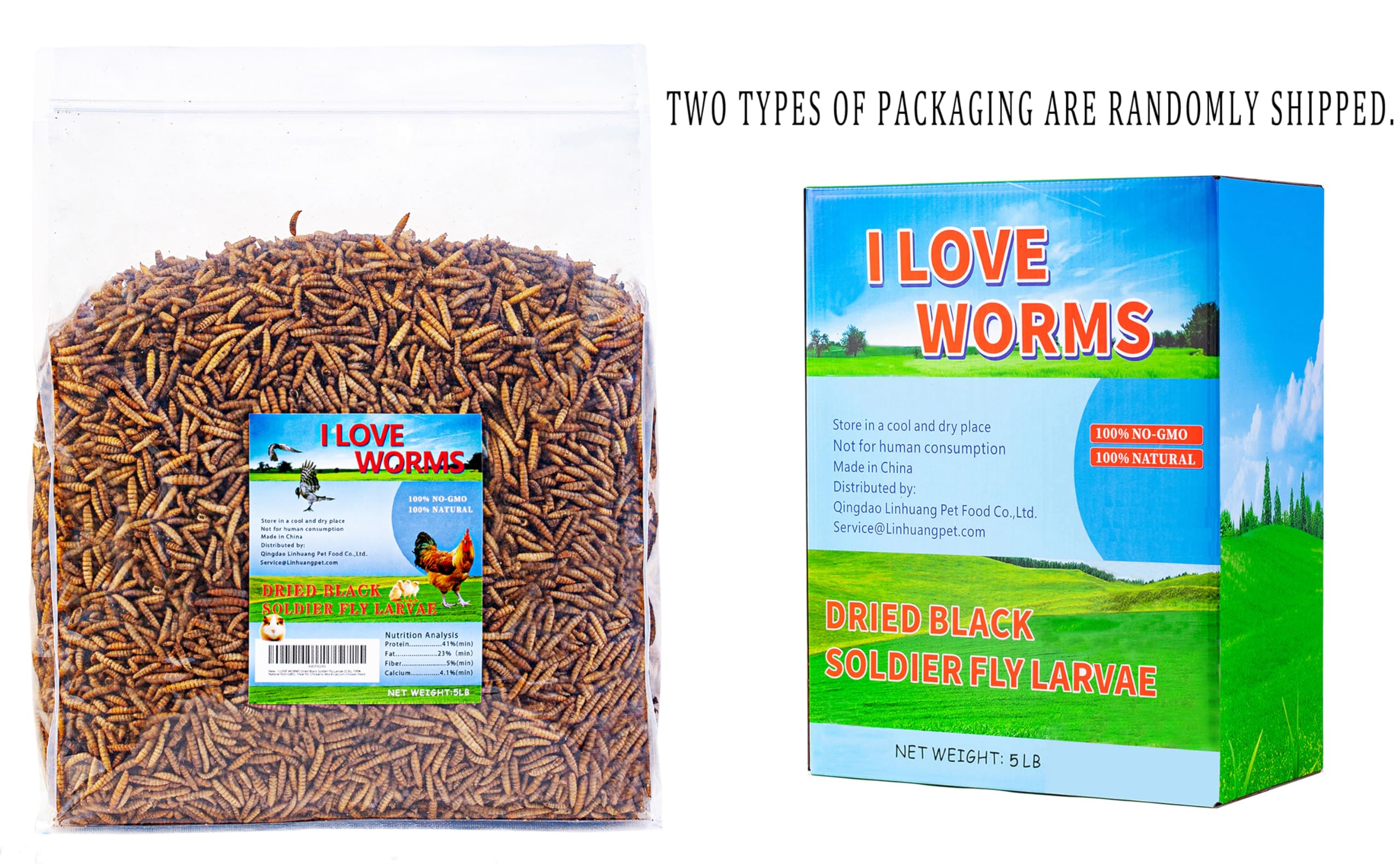 Chickens enjoying I LOVE WORMS BSF larvae as a calcium-rich snack