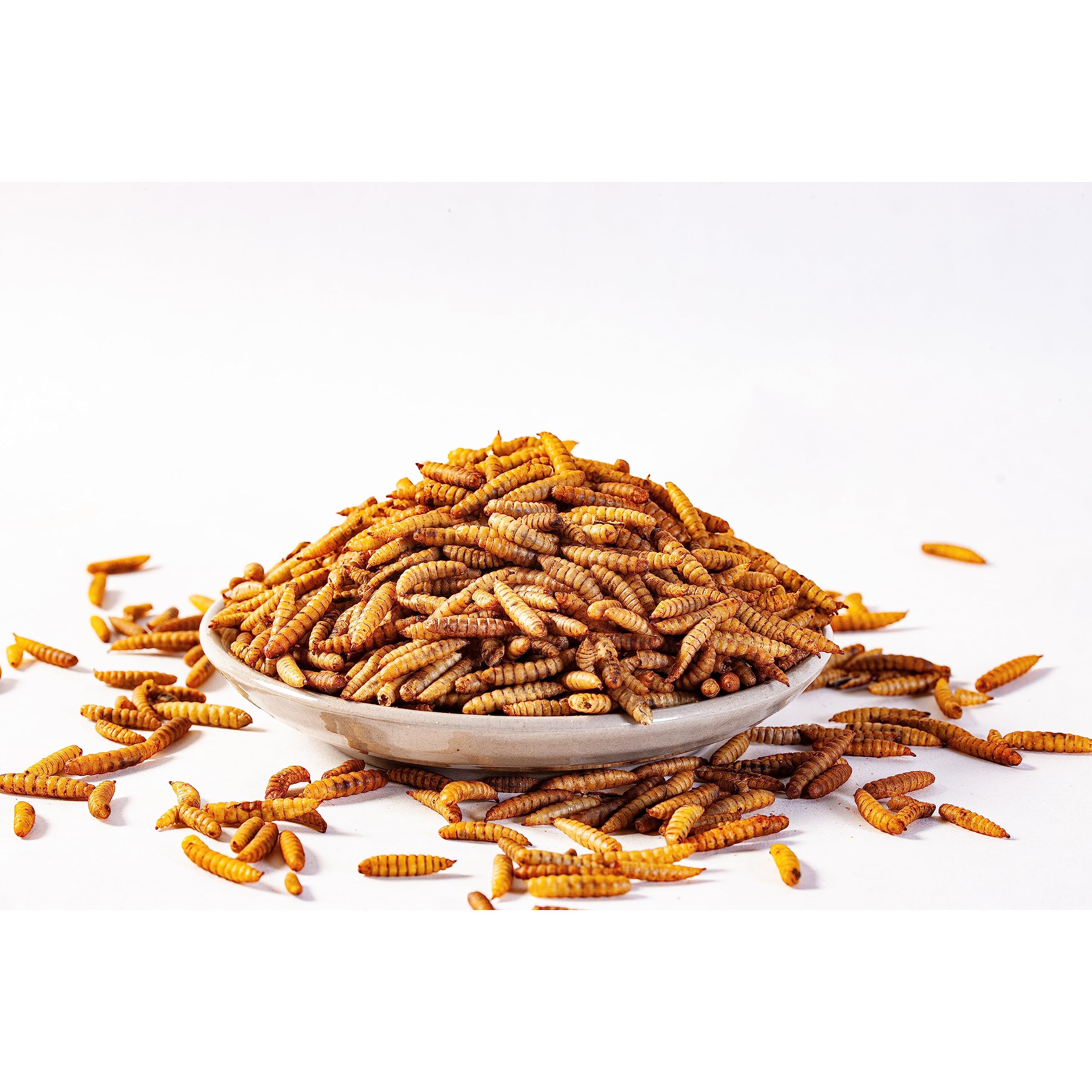 I LOVE WORMS BSF larvae packaging suitable for bulk feeding