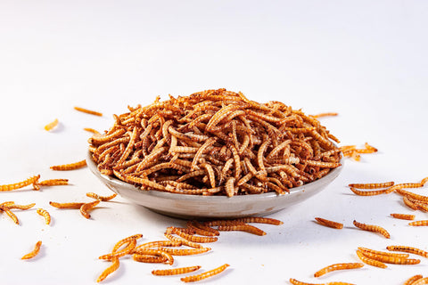 I LOVE WORMS microwave drying preserves texture and flavor for a shelf stable treat.