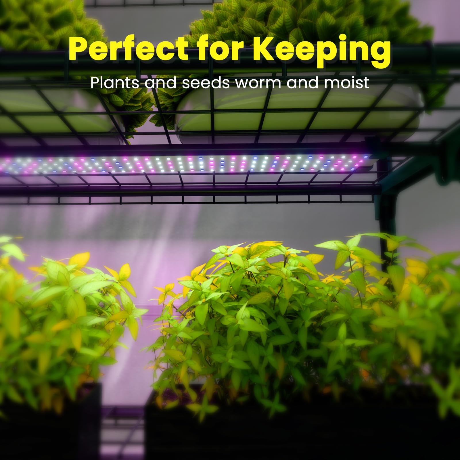 i-SUNSHORE indoor greenhouse clear PVC cover enables visibility and ventilation