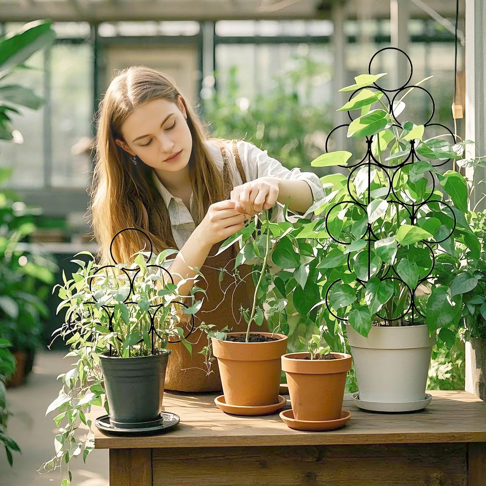 IA Garden climbing ivy and vine trellis shown in a lush plant setup
