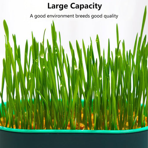 iayokocc cat grass planter 3pc white-pink set for easy indoor greens