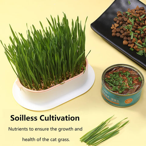 iayokocc smooth surface planter cleans quickly with damp cloth