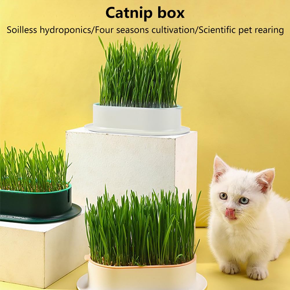 iayokocc soil-free design enables grass growth with water and nutrients