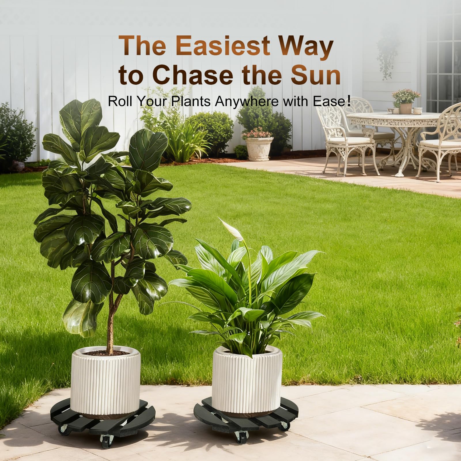 IBGUC 2-pack provides versatile mobility for multiple plants.