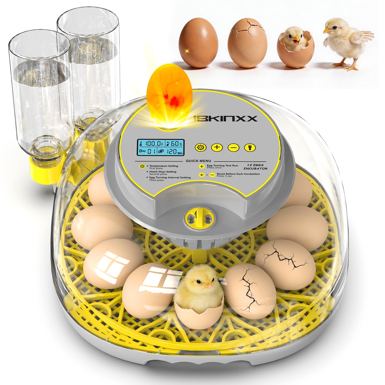 IBKINXX incubator with 12-egg capacity and clear lid for gentle monitoring.
