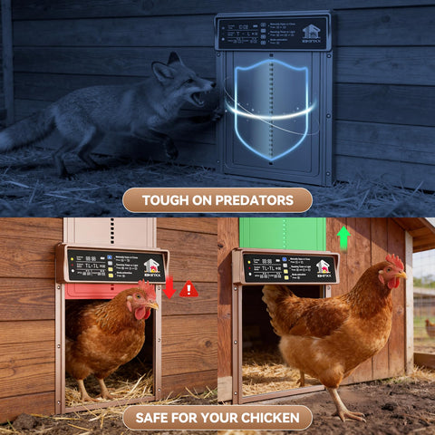 IBKINXX anti-pinch safety feature protects passing poultry.