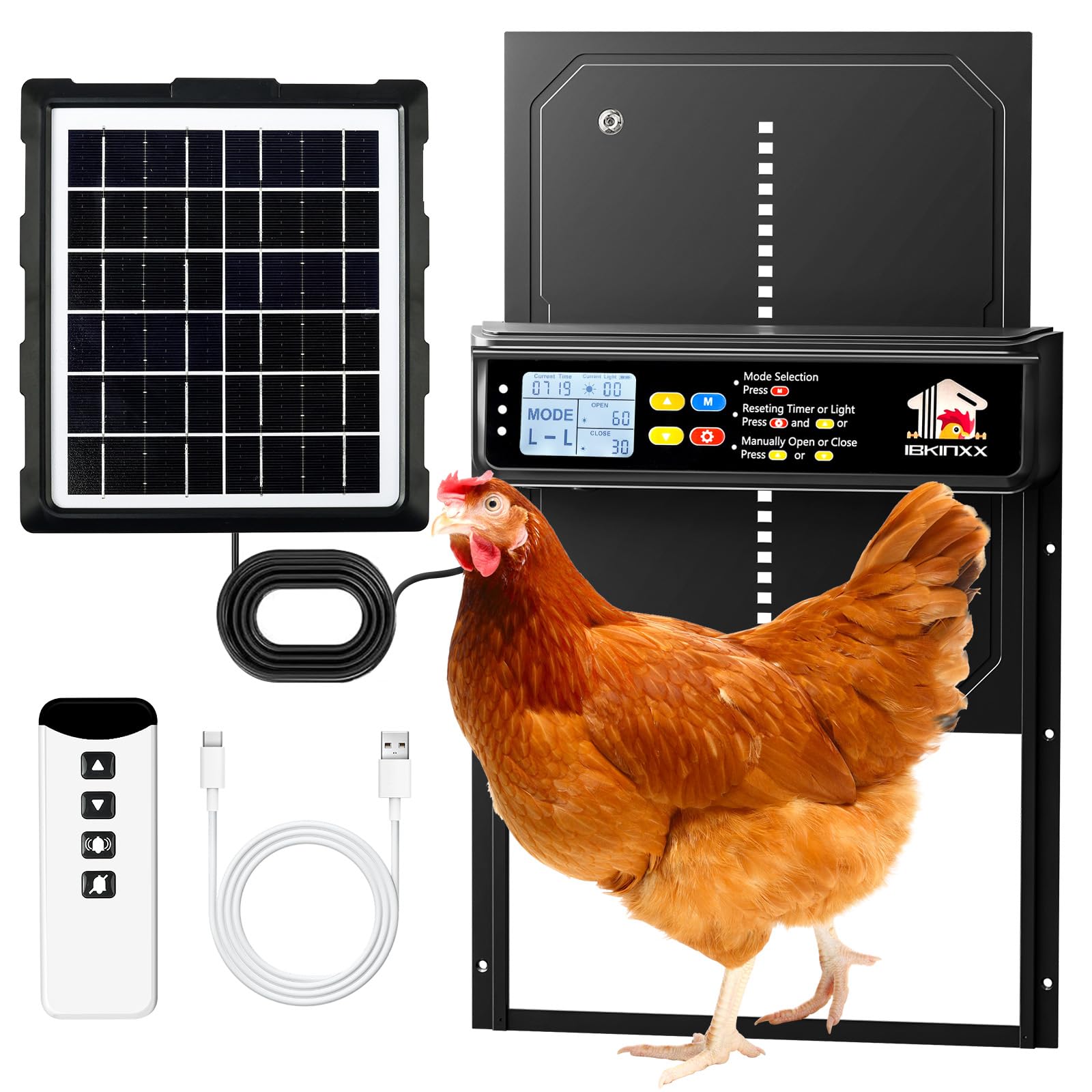 IBKINXX automatic chicken door with wide opening for smooth flock movement