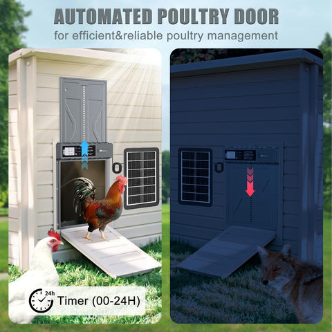 IBKINXX coop door with timer opens on schedule for routine use.