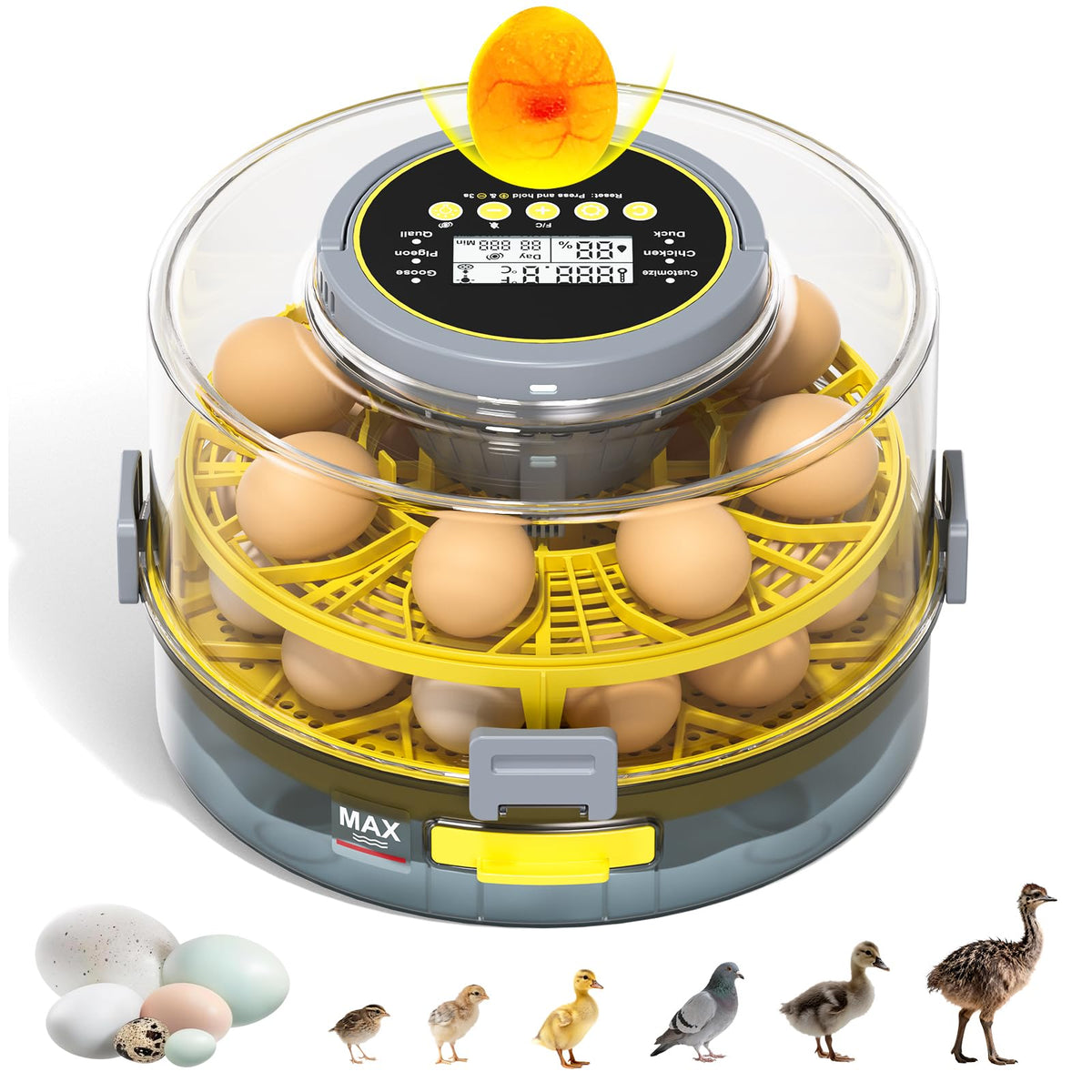 IBKINXX egg incubator with 360° view for easy monitoring of developing eggs
