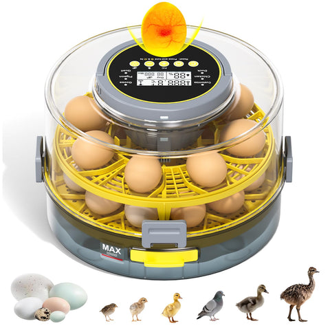 IBKINXX egg incubator with 360° view for easy monitoring of developing eggs