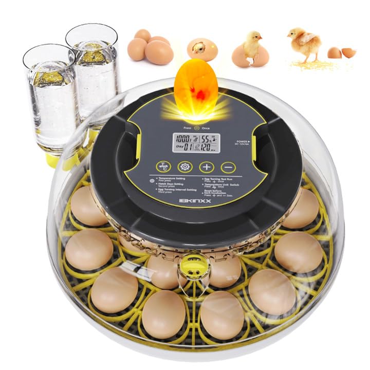 IBKINXX incubator with 18-egg capacity for simple monitoring