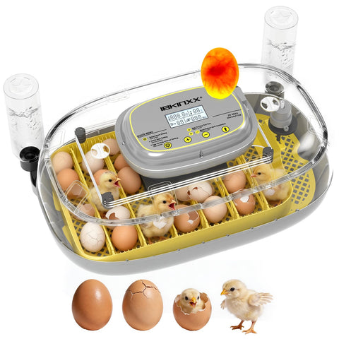 IBKINXX incubator showing 24-egg capacity for efficient batch hatching.