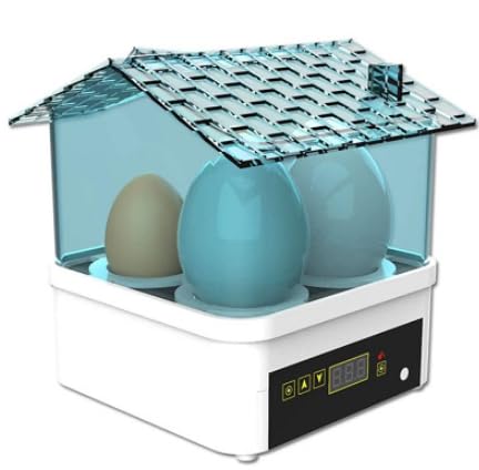 IBKINXX incubator with 360° viewing and four independent temperature zones for flexible hatching.