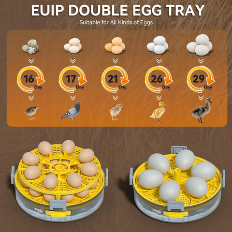 IBKINXX removable tray for small eggs enables incubating quail and pigeon eggs