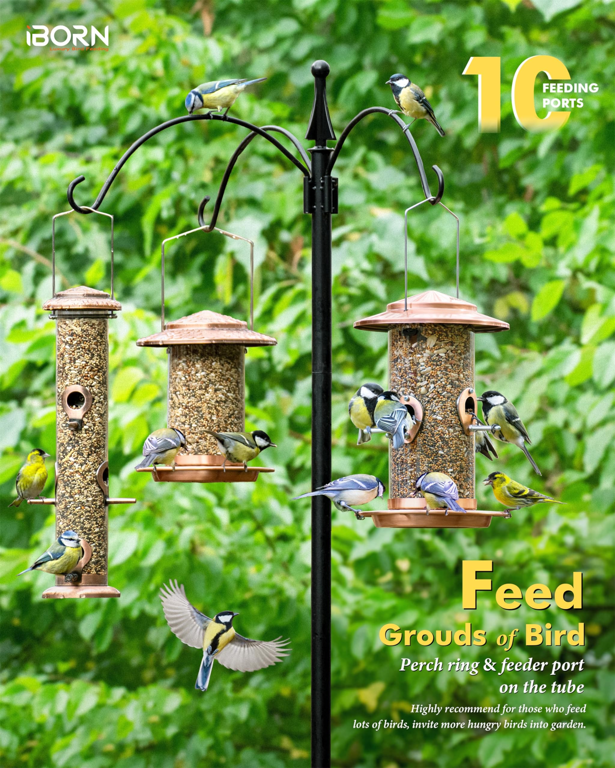 iBorn 18cm roof keeps seeds dry during rainy outdoor feeding.