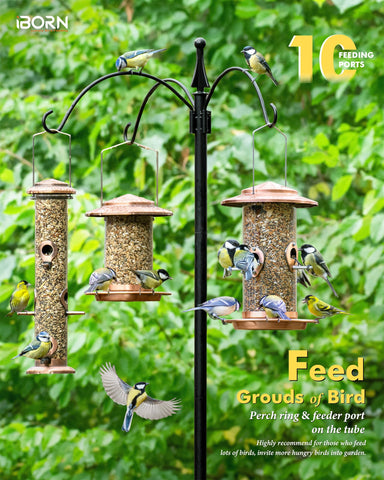 iBorn 18cm roof keeps seeds dry during rainy outdoor feeding.