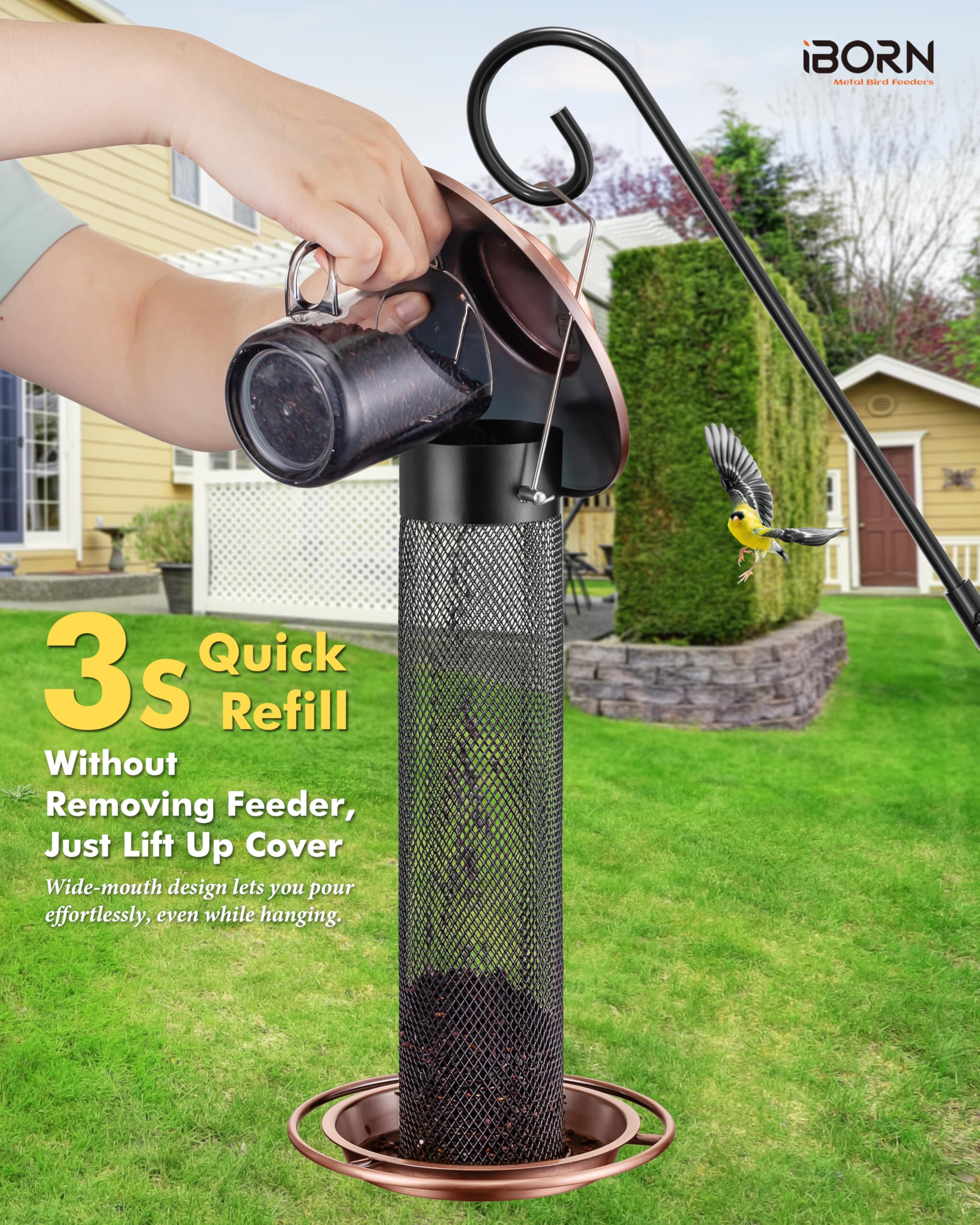 iBorn 2 lb capacity supports longer bird visits without refilling