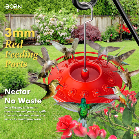 iBorn ant moat hummingbird feeder prevents nectar contamination for peaceful birdwatching in warm afternoons.
