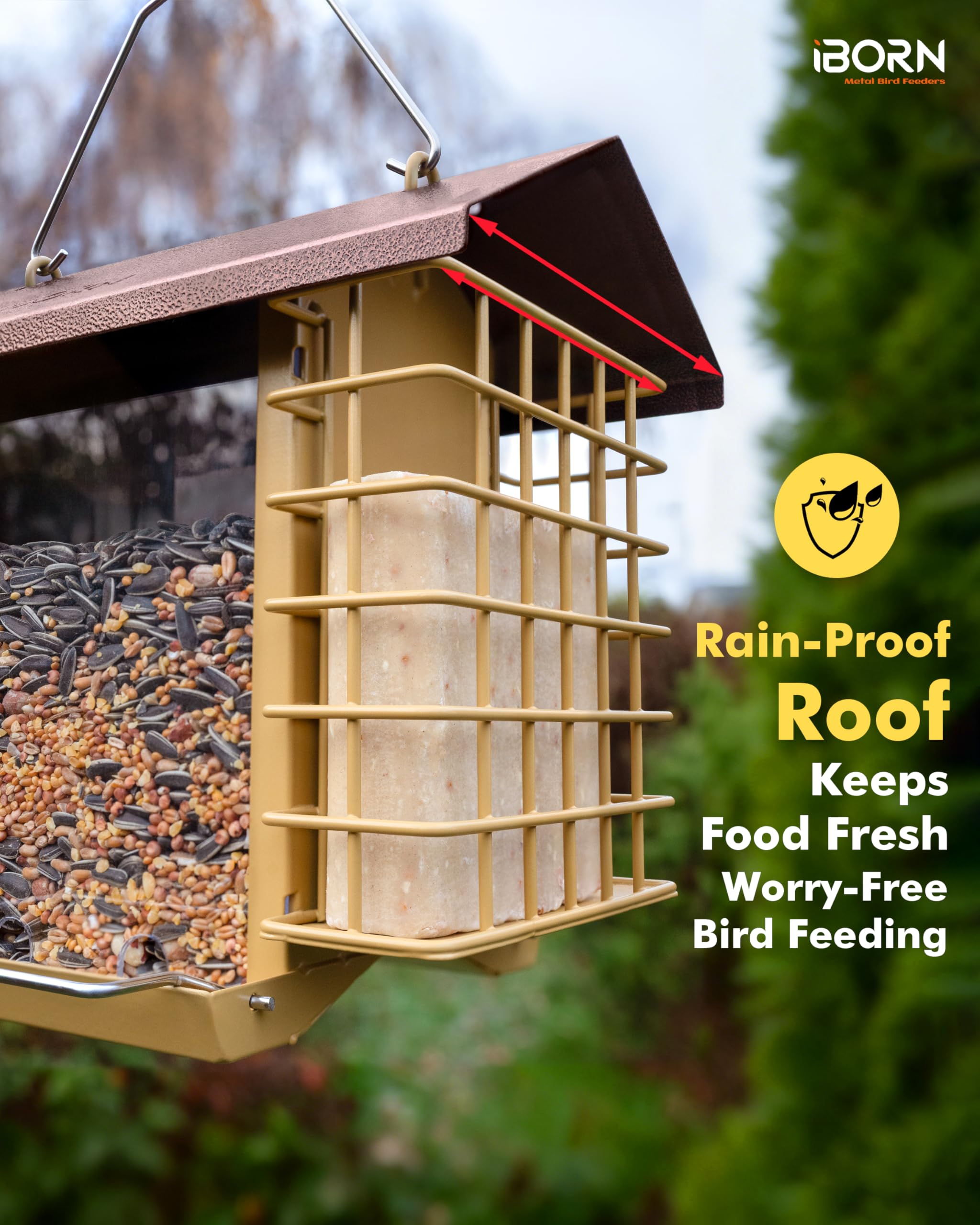 IBorn anti-squirrel hook design protects food from theft.