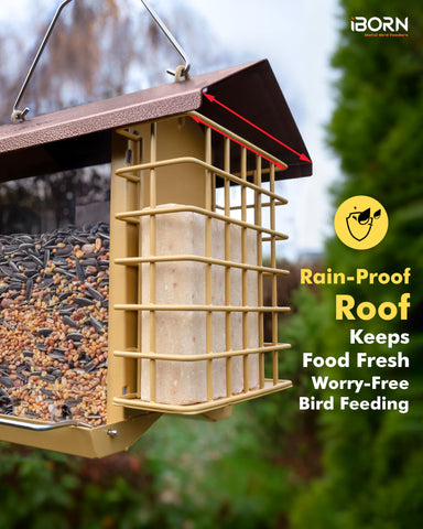 IBorn anti-squirrel hook design protects food from theft.
