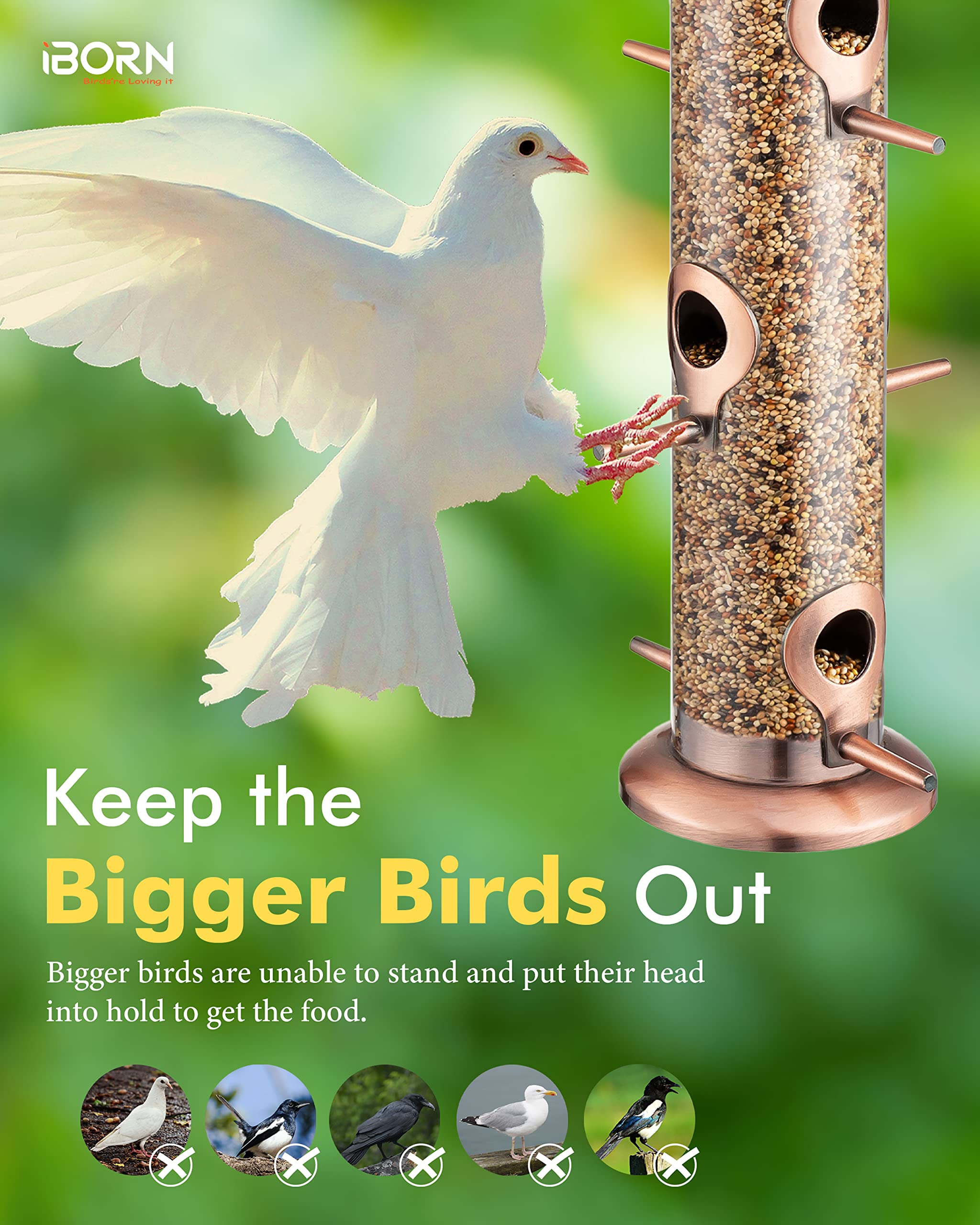 iBorn six-port design supports several birds at once